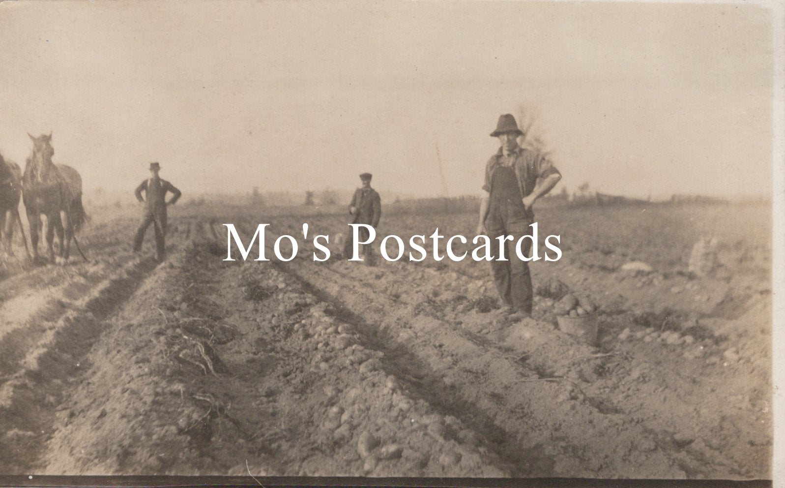 Vintage black and white photo of people working in a field  