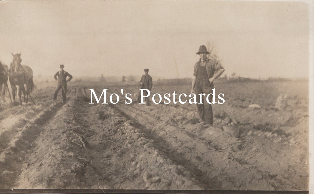 Vintage black and white photo of people working in a field  