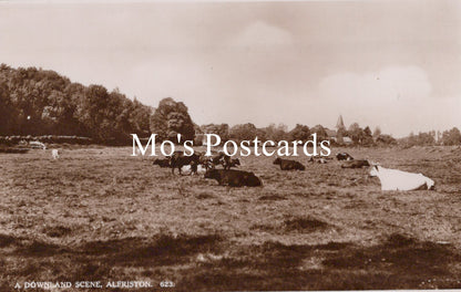 Vintage photograph of a pastoral scene with cows in a field 