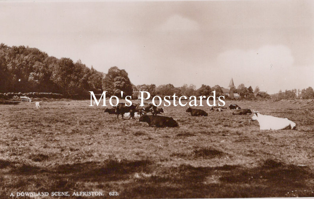 Vintage photograph of a pastoral scene with cows in a field 