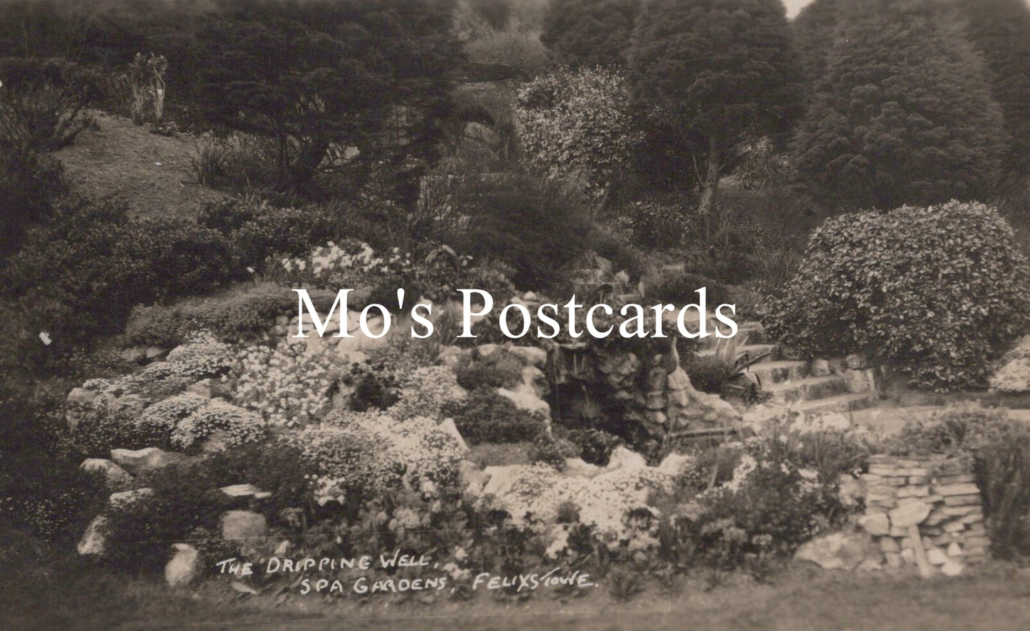 Vintage black and white photo of a garden  