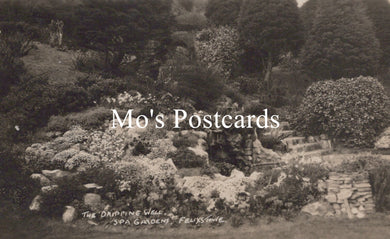 Vintage black and white photo of a garden  