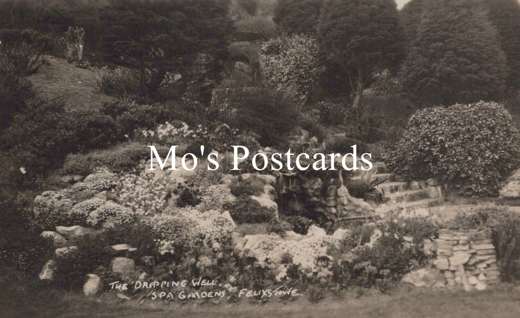 Vintage black and white photo of a garden  