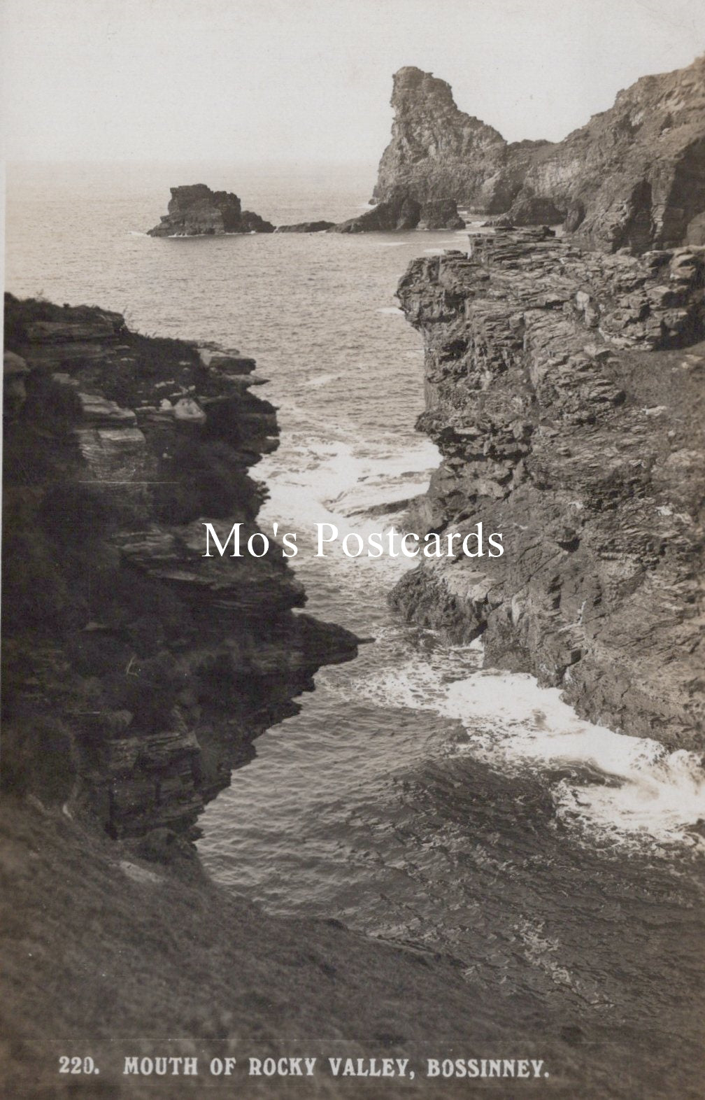 Vintage black and white photo of rocky cliffs and ocean 