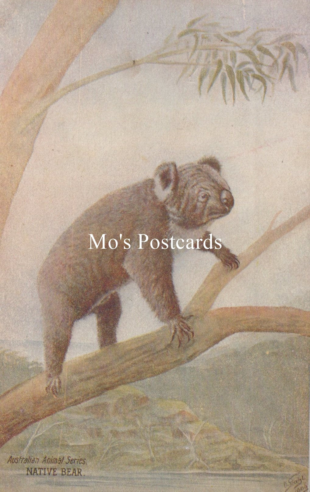 Illustration of a bear on a branch  