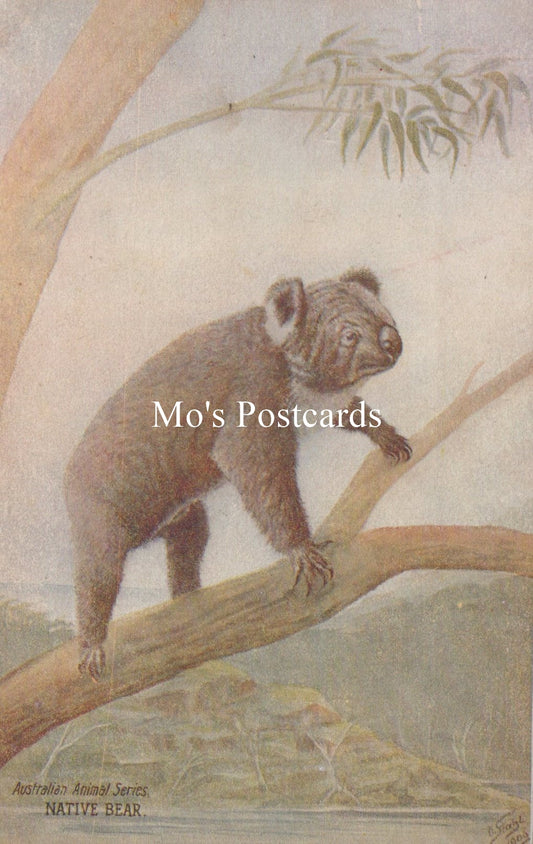 Illustration of a bear on a branch  