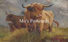 Load image into Gallery viewer, Painting of Highland cattle  
