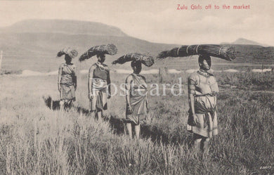 Zulu women carrying wood on their heads in a grassy field with mountains in the background.
