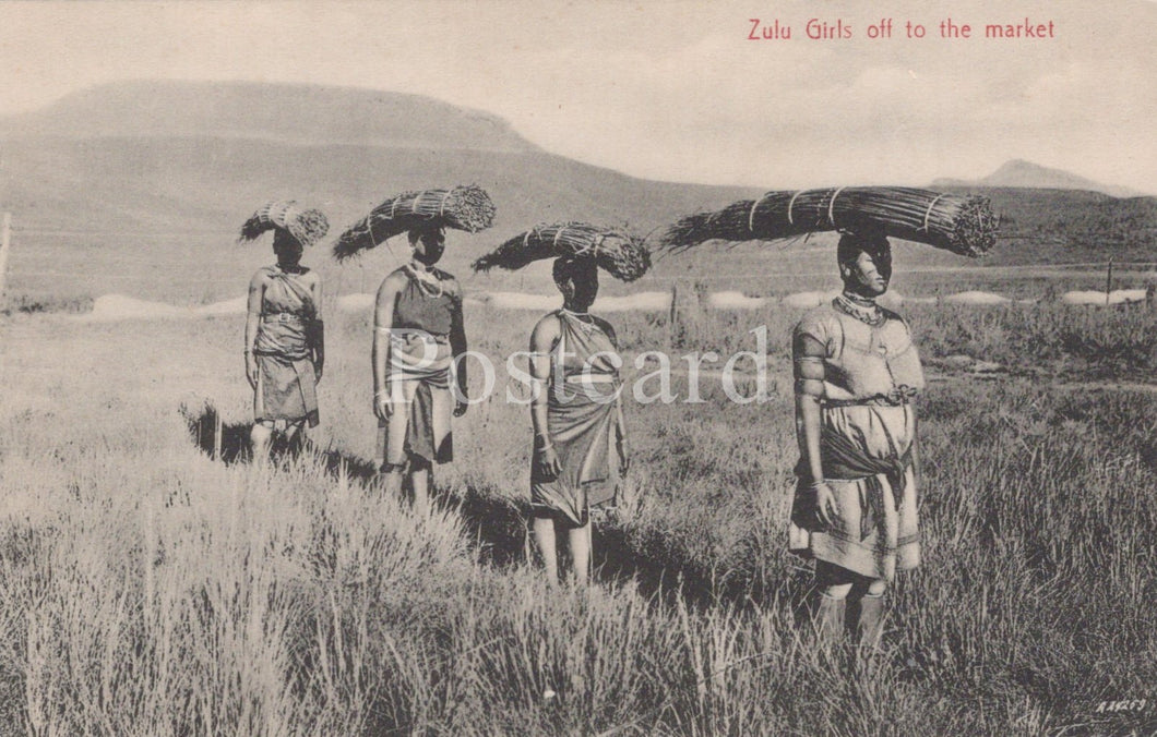 Zulu women carrying wood on their heads in a grassy field with mountains in the background.