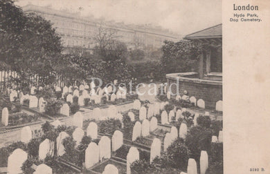 Vintage postcard of a dog cemetery in Hyde Park, London.