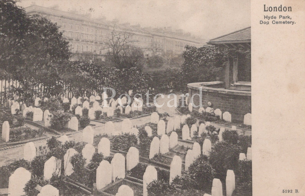 Vintage postcard of a dog cemetery in Hyde Park, London.