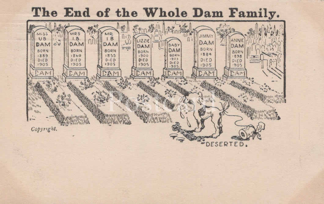 Cartoon of a family of dams with tombstones and a sad dog, labeled 'The End of the Whole Dam Family'.