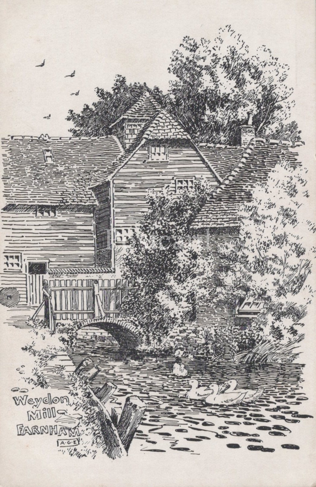 Illustration of a mill by a river with trees and birds in the background