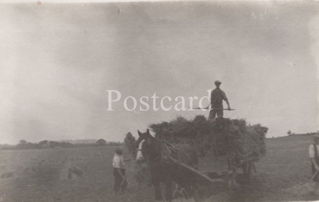 Vintage black and white photo of a horse-drawn cart with people in a field, labeled 'Postcard'.
