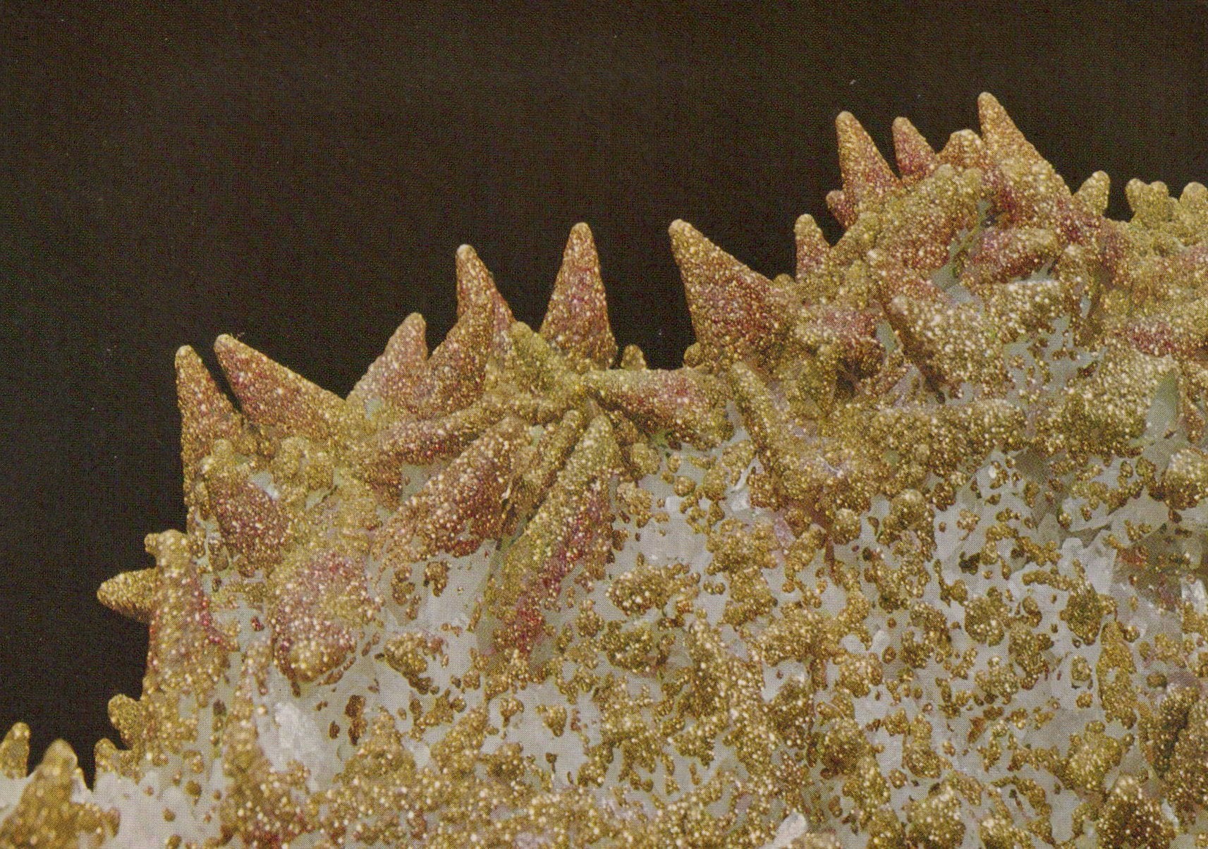 Close-up of a textured surface with spiky patterns on a dark background