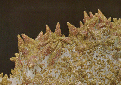 Close-up of a textured surface with spiky patterns on a dark background