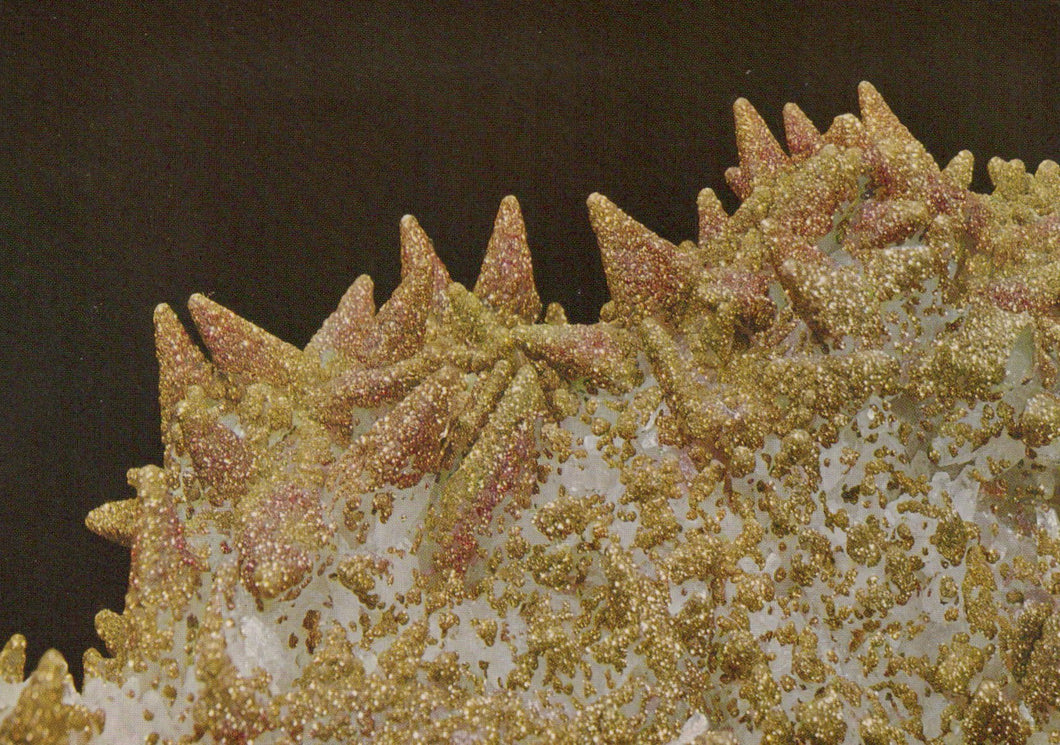 Close-up of a textured surface with spiky patterns on a dark background