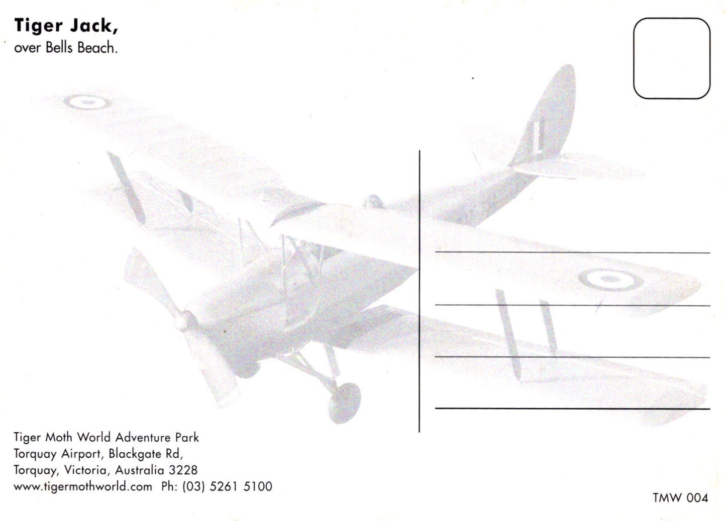 Vintage airplane illustration on a white background with contact information.