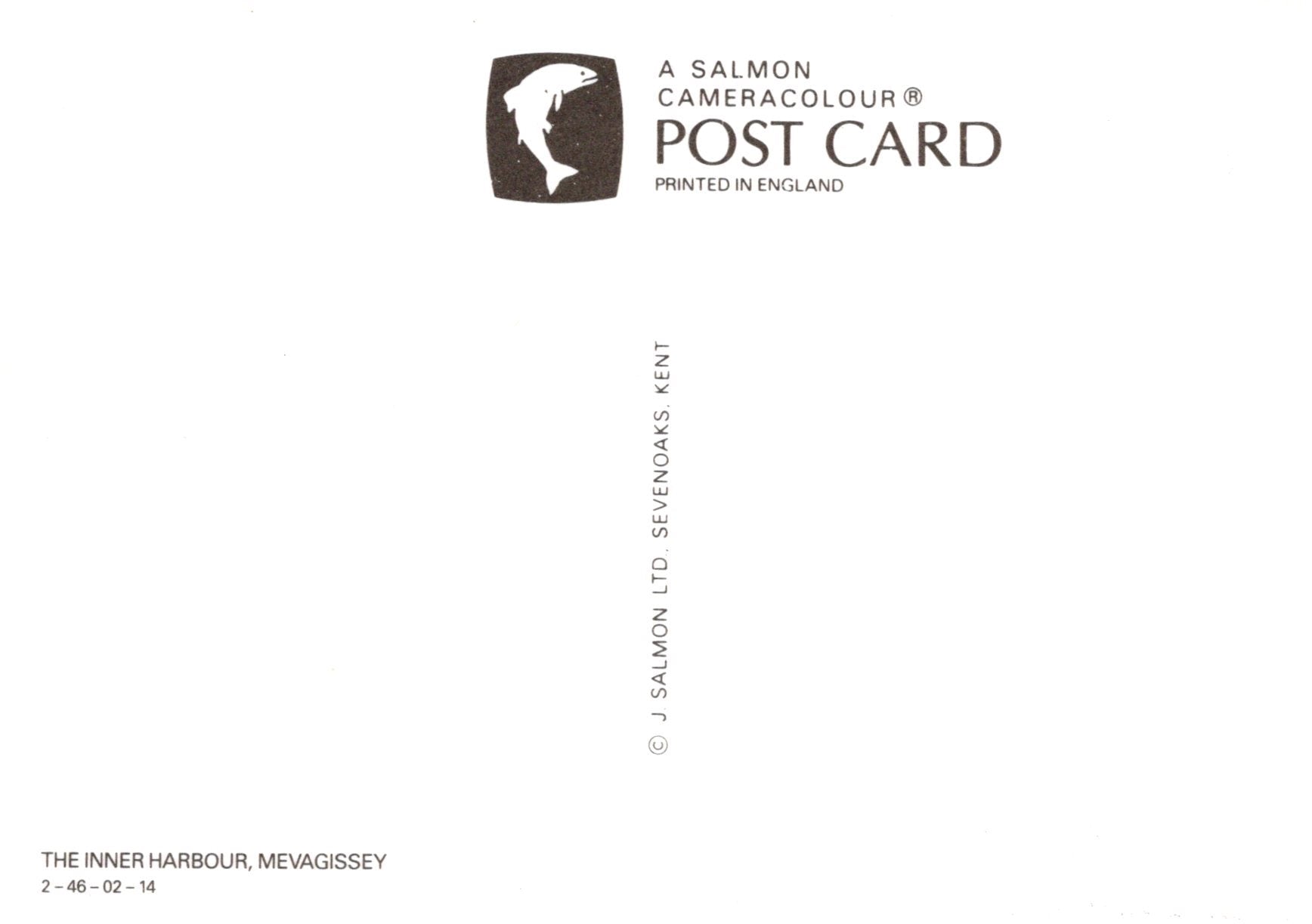 Salmon Cameracolour postcard with branding and text on a white background