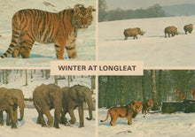 Load image into Gallery viewer, Collage of animals in a snowy landscape with &#39;Winter at Longleat&#39; text.
