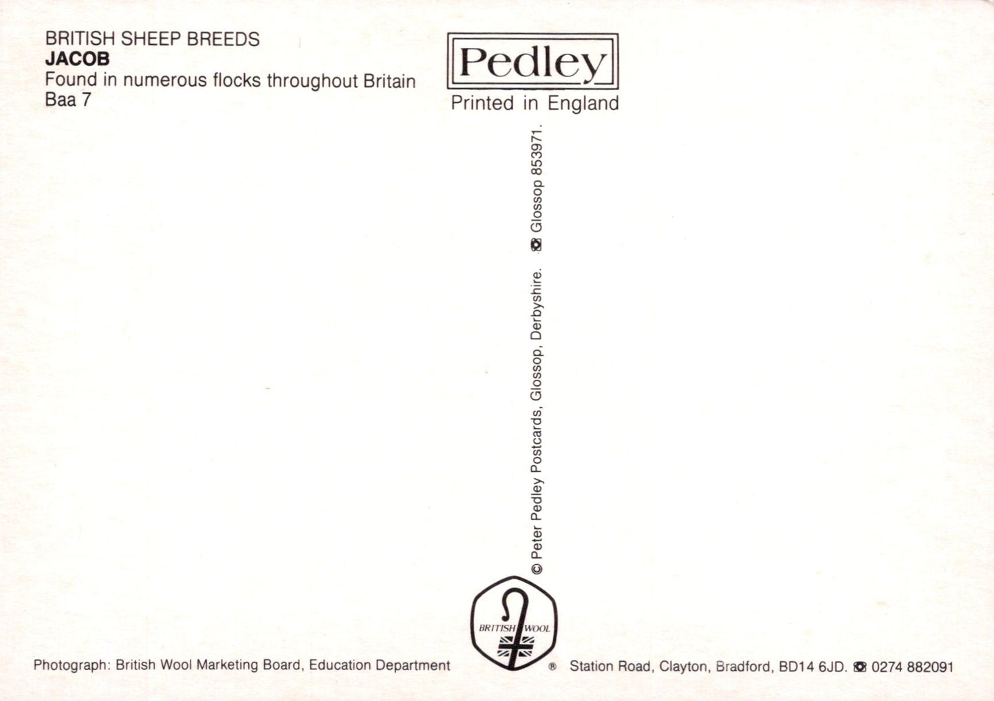 Brochure or leaflet about British sheep breeds, specifically Jacob, printed by Pedley in England.