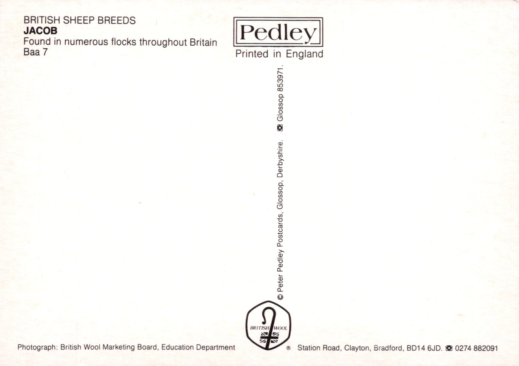 Brochure or leaflet about British sheep breeds, specifically Jacob, printed by Pedley in England.