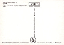 Load image into Gallery viewer, Brochure or leaflet about British sheep breeds, specifically Jacob, printed by Pedley in England.
