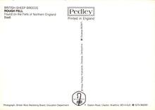 Load image into Gallery viewer, Back of a product packaging with text about British sheep breeds and a brand logo.
