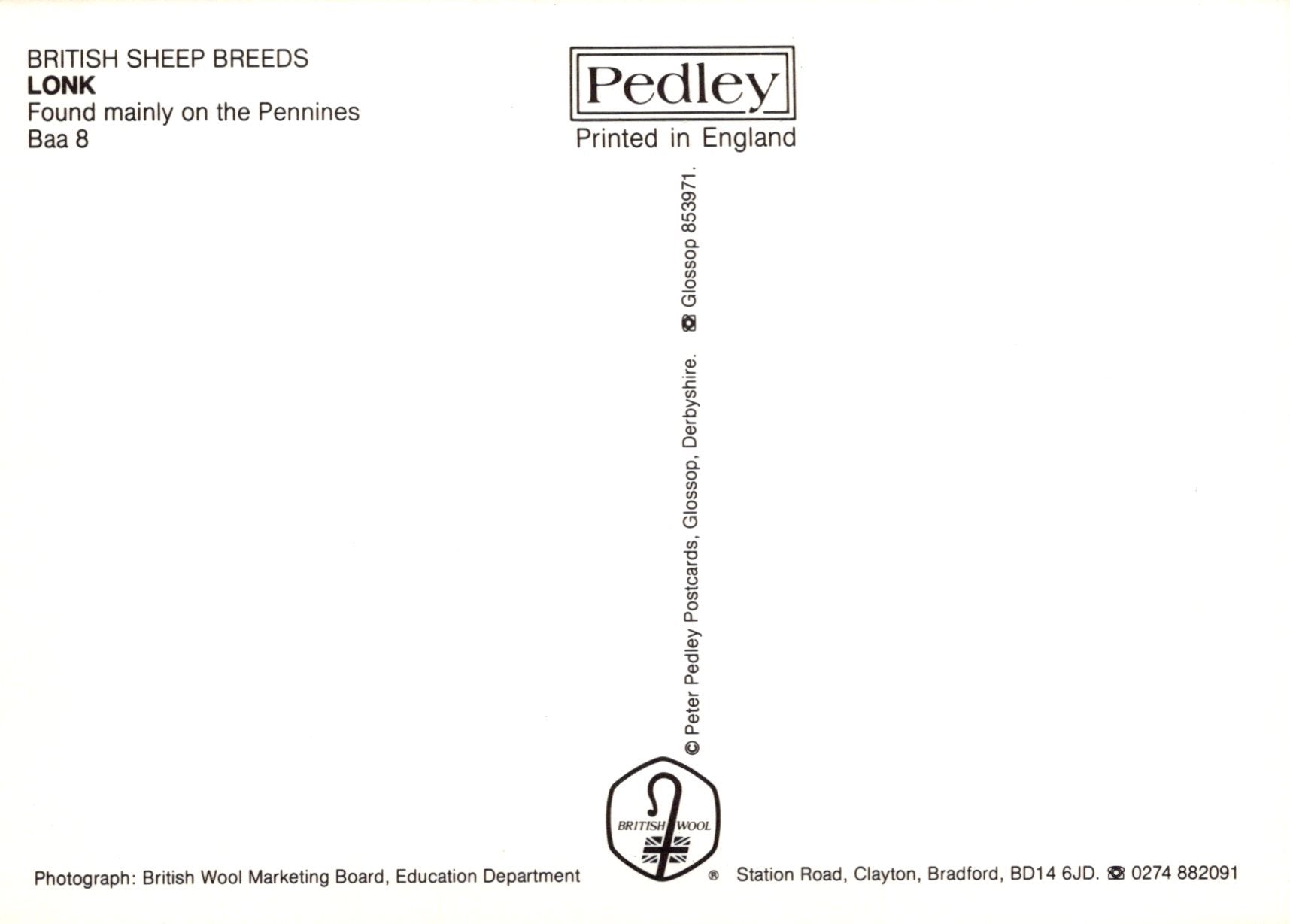 Back of a book or paper with 'Pedley' branding and text about British sheep breeds.