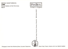 Load image into Gallery viewer, Back of a book or paper with &#39;Pedley&#39; branding and text about British sheep breeds.
