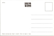 Load image into Gallery viewer, Norfolk Postcard - The Pier, Cromer  SW17636
