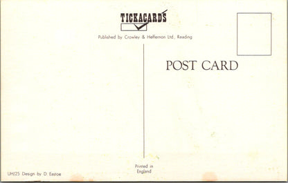 Holiday Greetings Postcard - Vacation Message, Sunbathing  SW17637