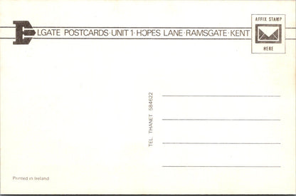 Animals Postcard - Horse and Foal Grazing   SW17638