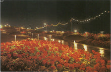 Load image into Gallery viewer, Dorset Postcard - Illuminations, Greenhill Gardens, Weymouth SW17640
