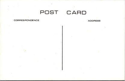 Somerset Postcard - Old Taunton, North Street c1912 - SW17647