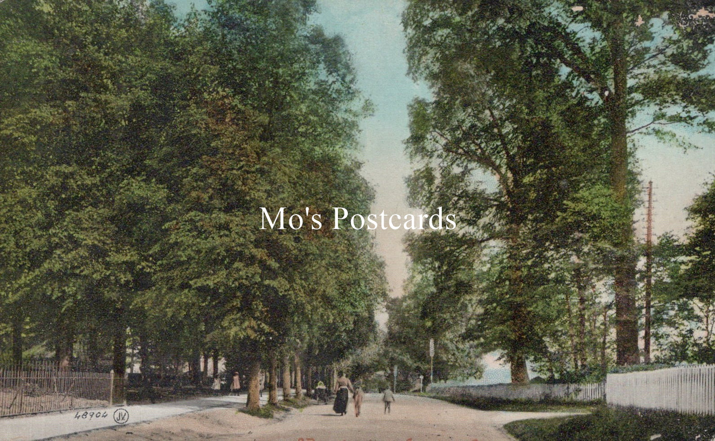 Wiltshire Postcard - Wessington Avenue, Calne  SW19251