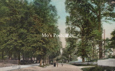 Wiltshire Postcard - Wessington Avenue, Calne  SW19251