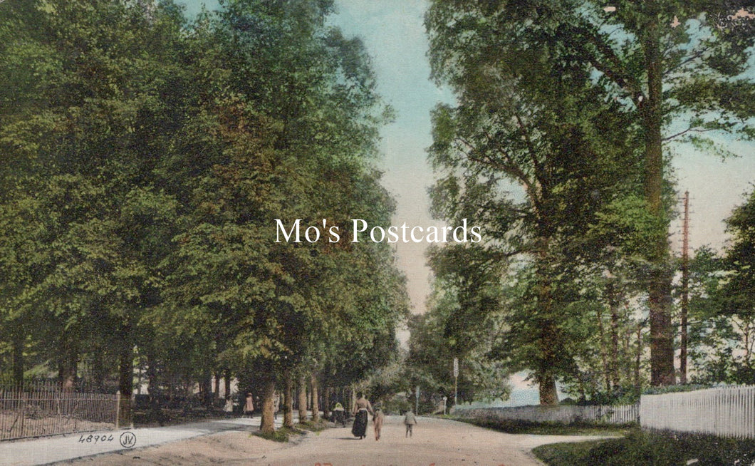 Wiltshire Postcard - Wessington Avenue, Calne  SW19251