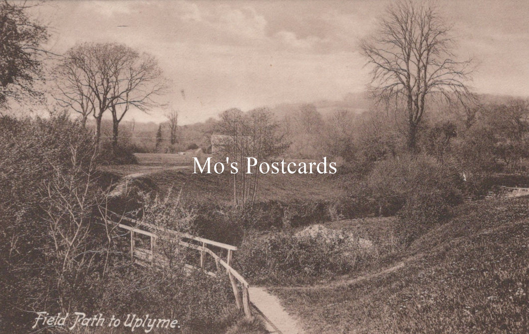 Devon Postcard - Field Path To Uplyme  SW19269