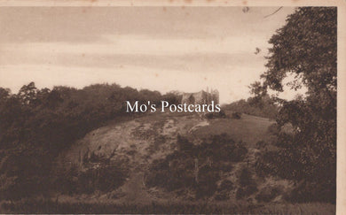 Surrey Postcard - St Catherine's Ruins, Guildford  SW19284