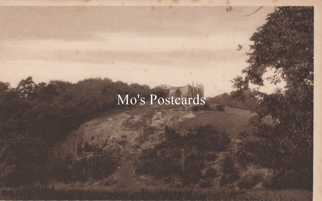 Surrey Postcard - St Catherine's Ruins, Guildford  SW19284