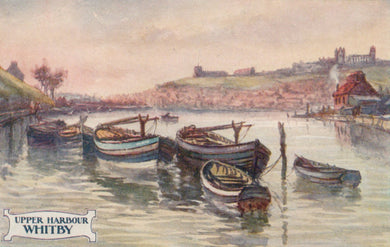 Harbor scene with boats and a coastal town in the background