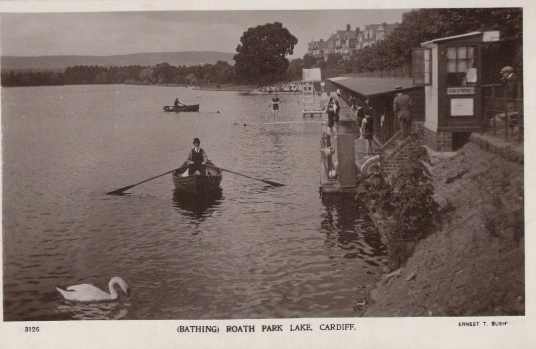 Vintage black and white photograph of a person rowing a boat on Roath Park Lake with a swan nearby.
