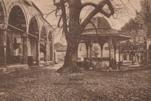 Load image into Gallery viewer, Vintage-style image of a tree in an open courtyard with architectural elements
