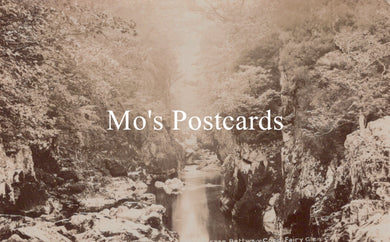 Vintage-style image of a river through a forest with 'Mo's Postcards' text overlay.