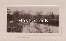 Load image into Gallery viewer, Vintage-style postcard with a landscape 
