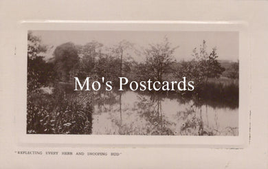Vintage-style postcard with a landscape 