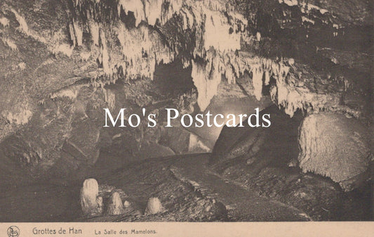 Belgium Postcard - Grottes De Han, La Salle Des Mamelons   SW18652