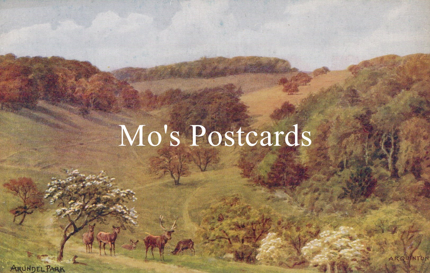 Sussex Postcard - Arundel Park, Artist A.R.Quinton  SW18655