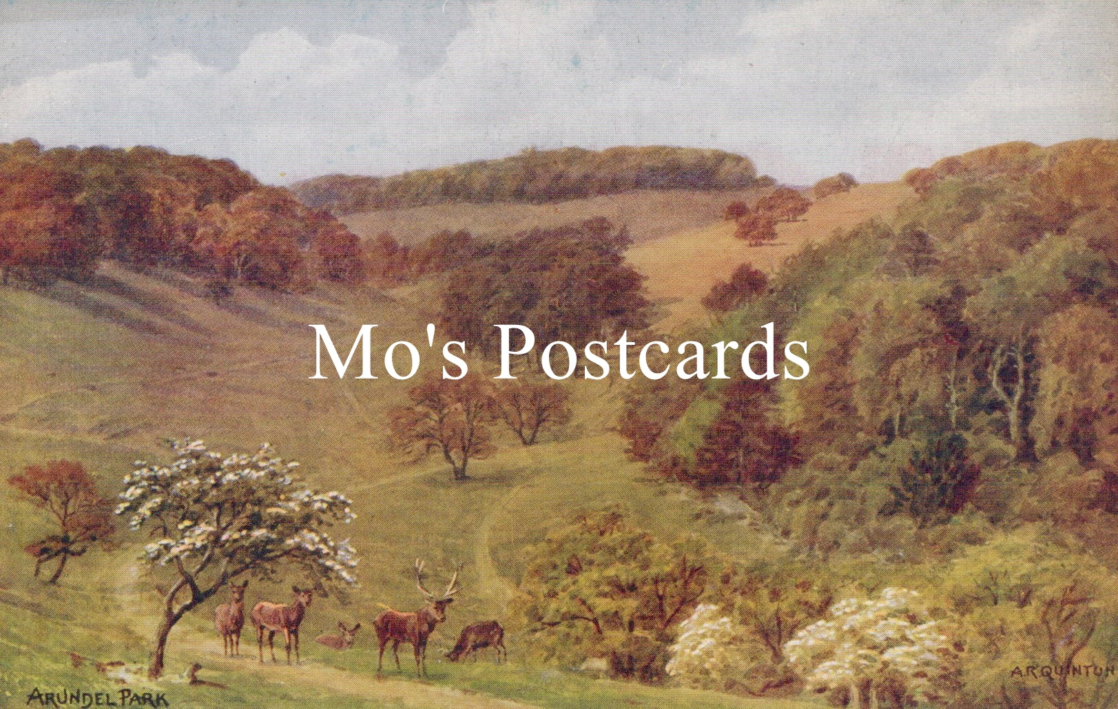 Sussex Postcard - Arundel Park, Artist A.R.Quinton  SW18655